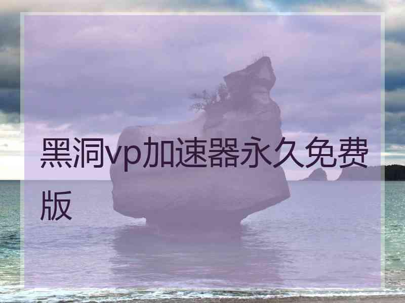 黑洞vp加速器永久免费版