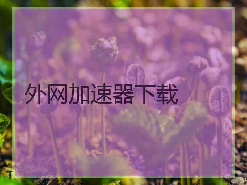 外网加速器下载