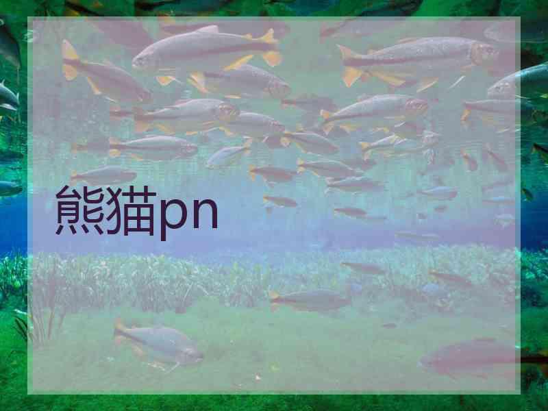 熊猫pn