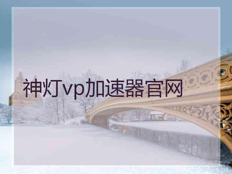 神灯vp加速器官网