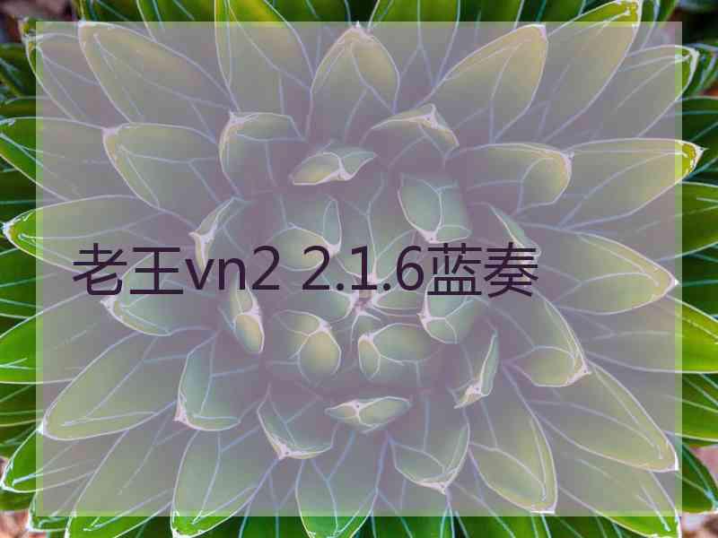 老王vn2 2.1.6蓝奏