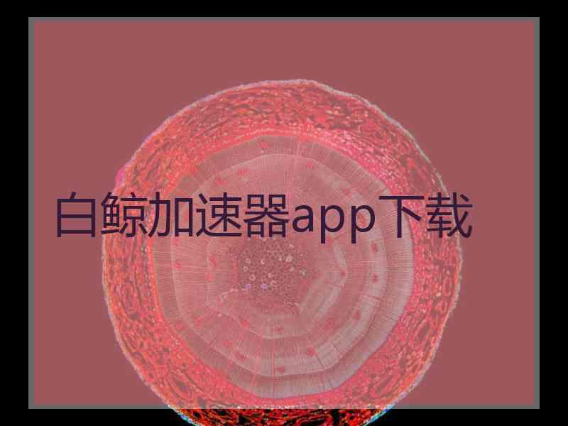 白鲸加速器app下载