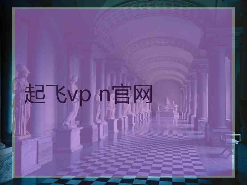 起飞vp n官网