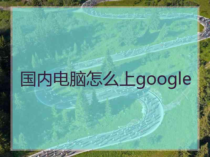 国内电脑怎么上google