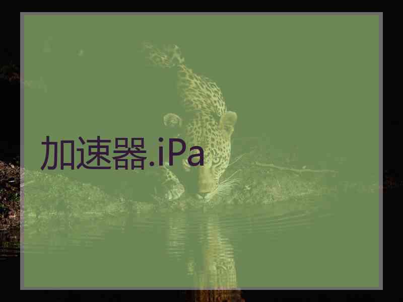 加速器.iPa