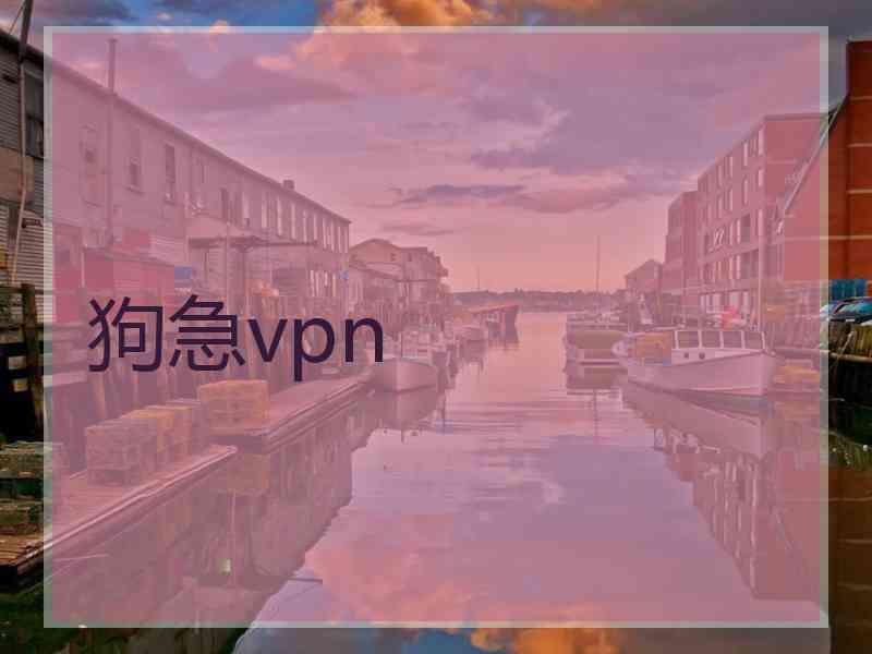 狗急vpn