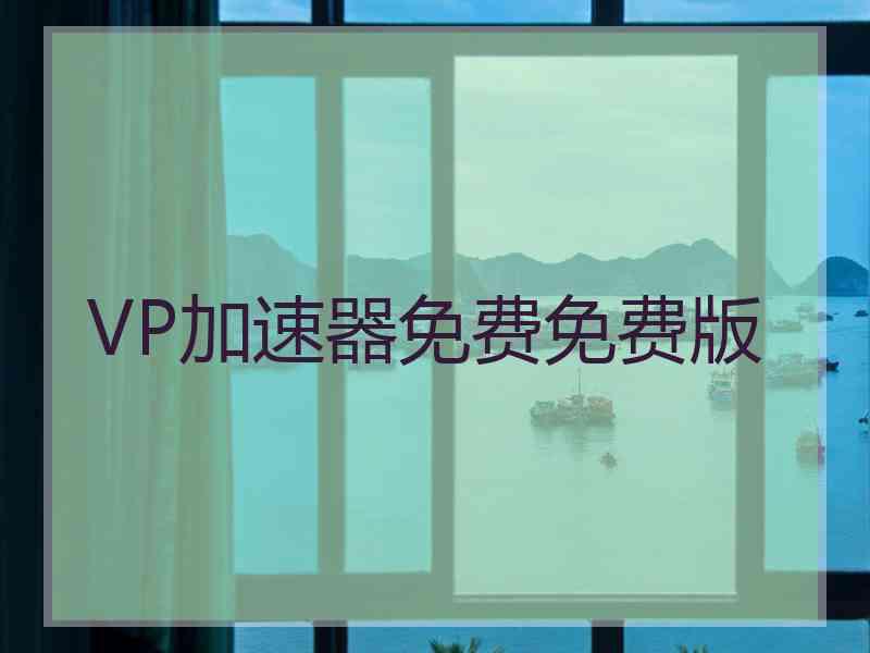 VP加速器免费免费版