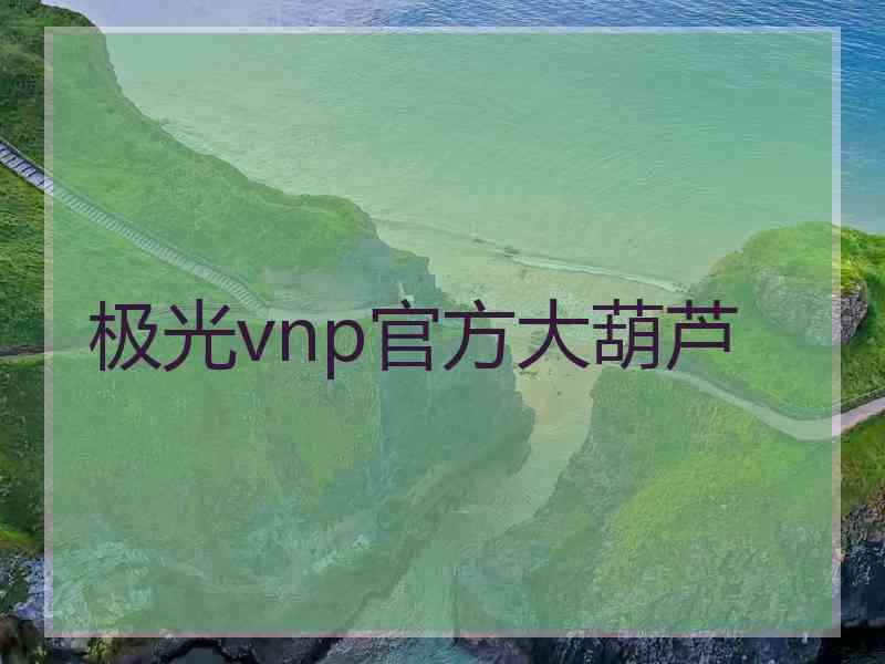 极光vnp官方大葫芦