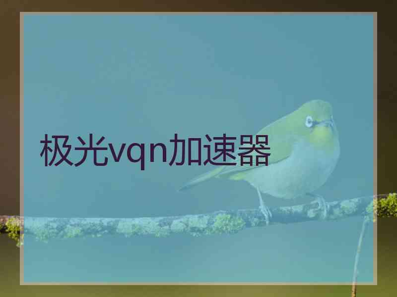 极光vqn加速器