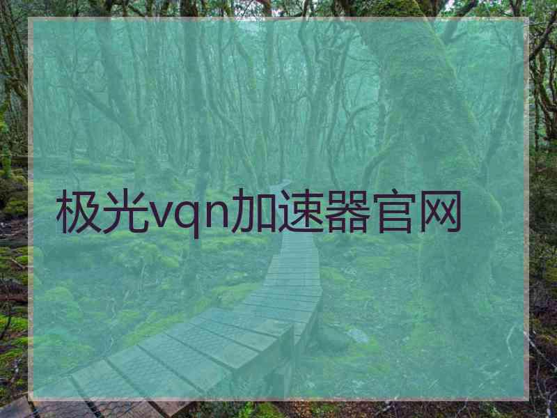 极光vqn加速器官网