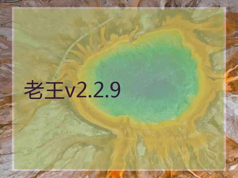 老王v2.2.9