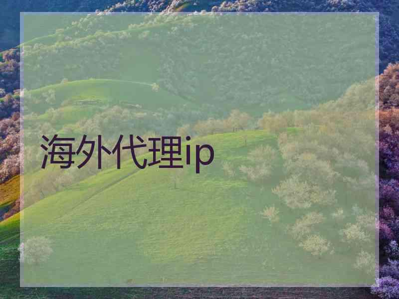 海外代理ip