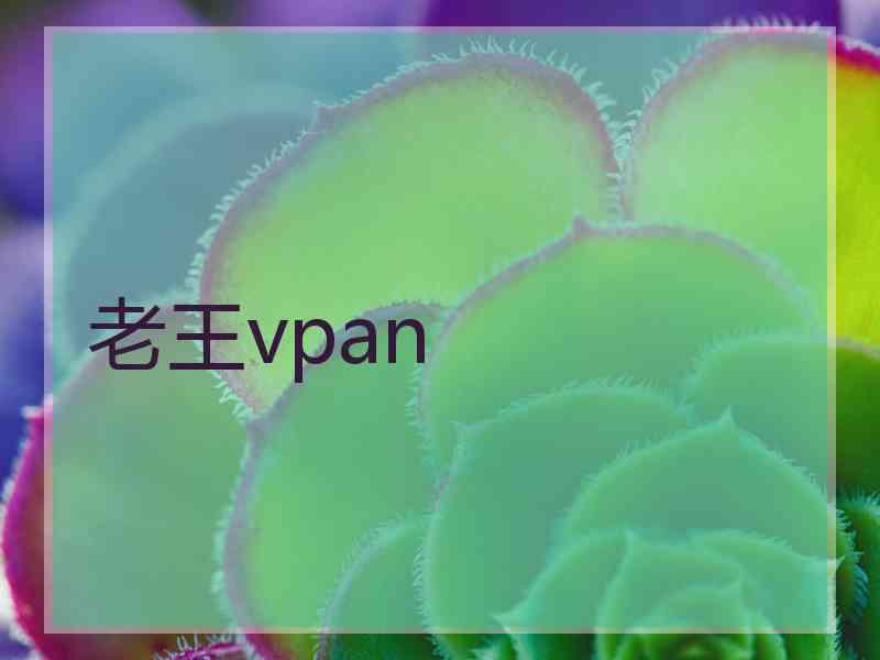 老王vpan