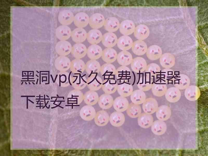 黑洞vp(永久免费)加速器下载安卓