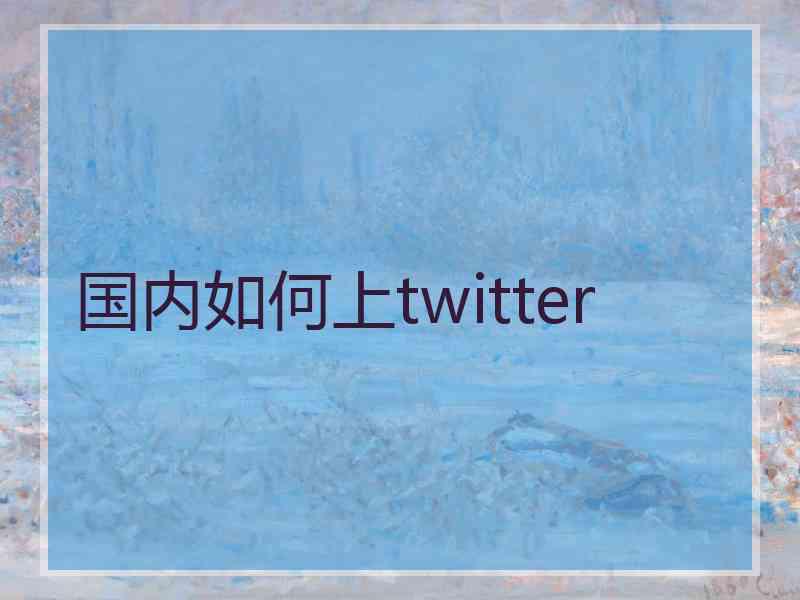 国内如何上twitter