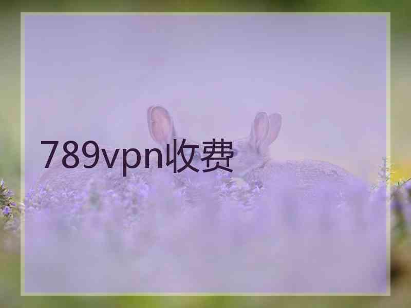 789vpn收费