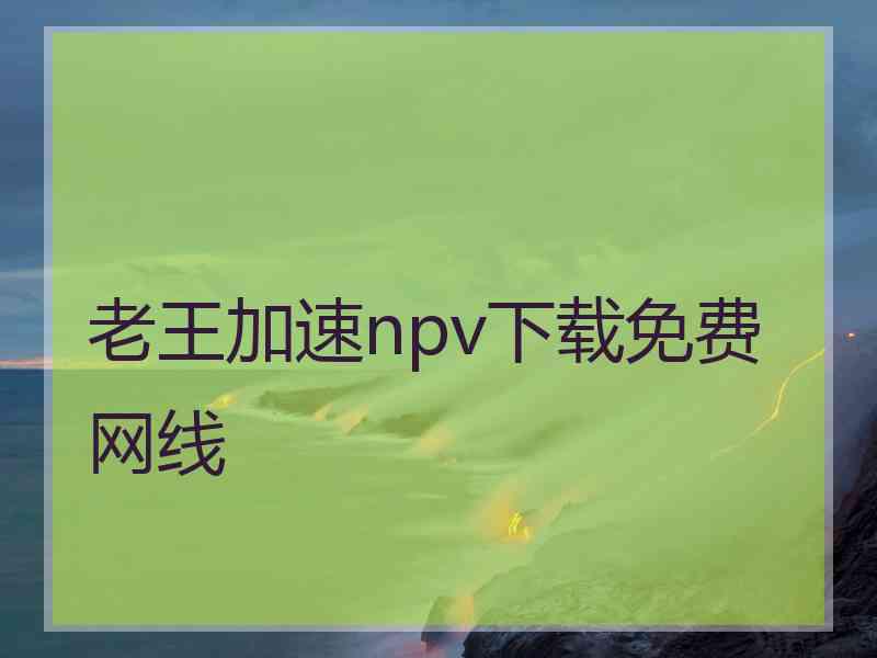 老王加速npv下载免费网线