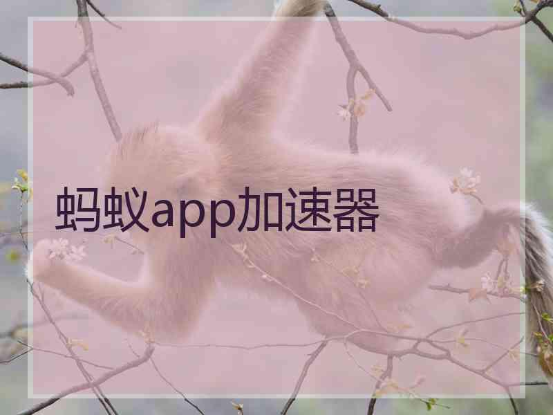 蚂蚁app加速器