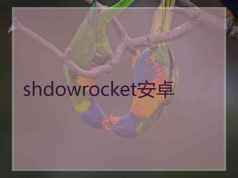 shdowrocket安卓