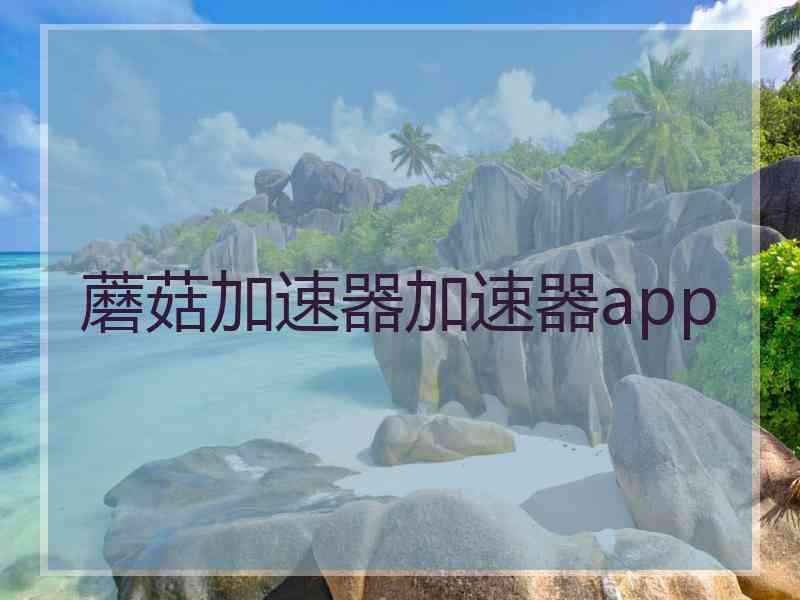 蘑菇加速器加速器app