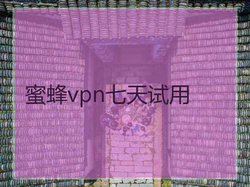 蜜蜂vpn七天试用