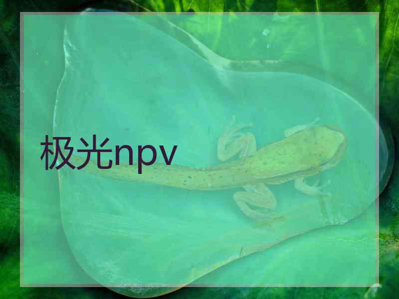 极光npv