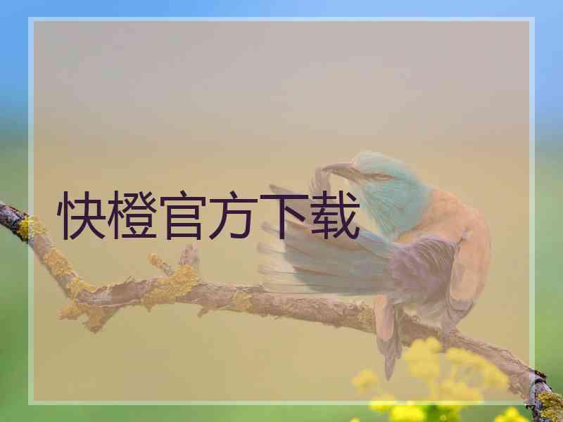 快橙官方下载