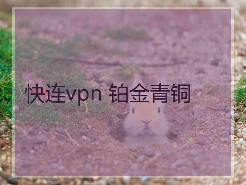 快连vpn 铂金青铜