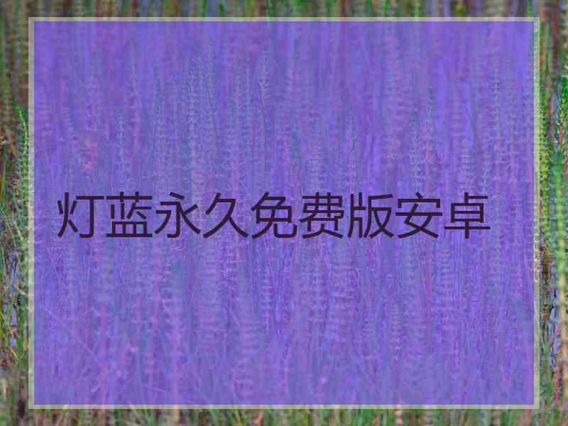 灯蓝永久免费版安卓