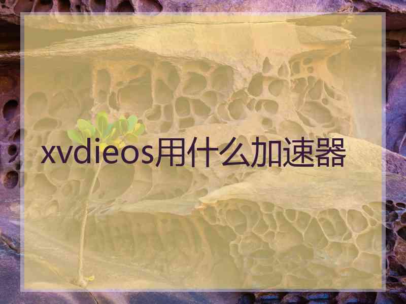 xvdieos用什么加速器