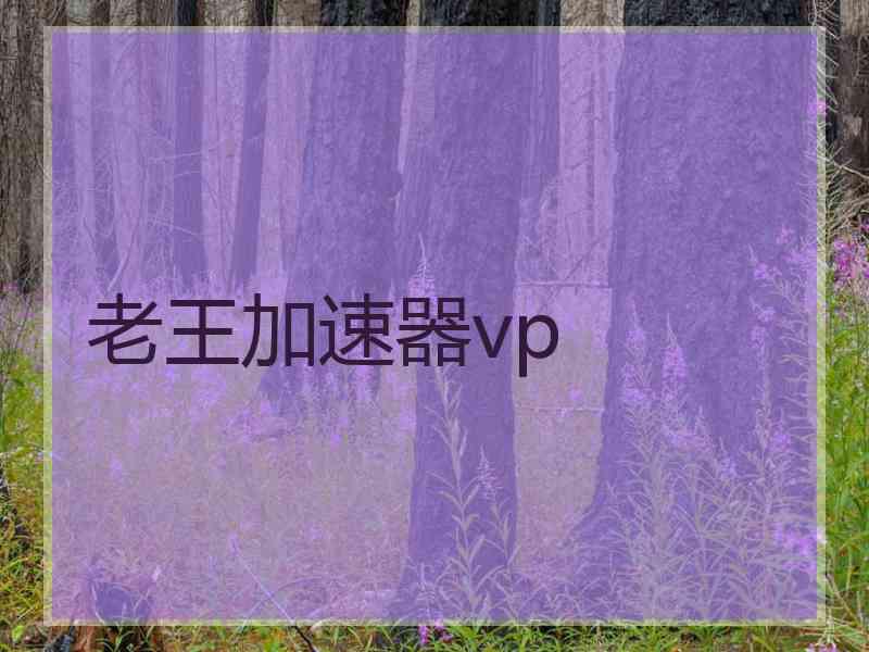 老王加速器vp