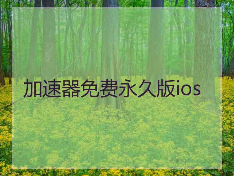 加速器免费永久版ios