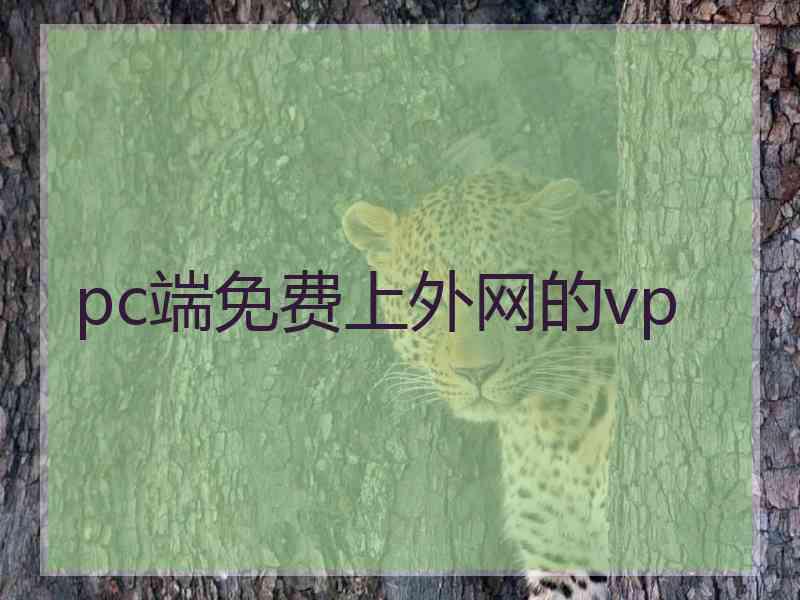 pc端免费上外网的vp