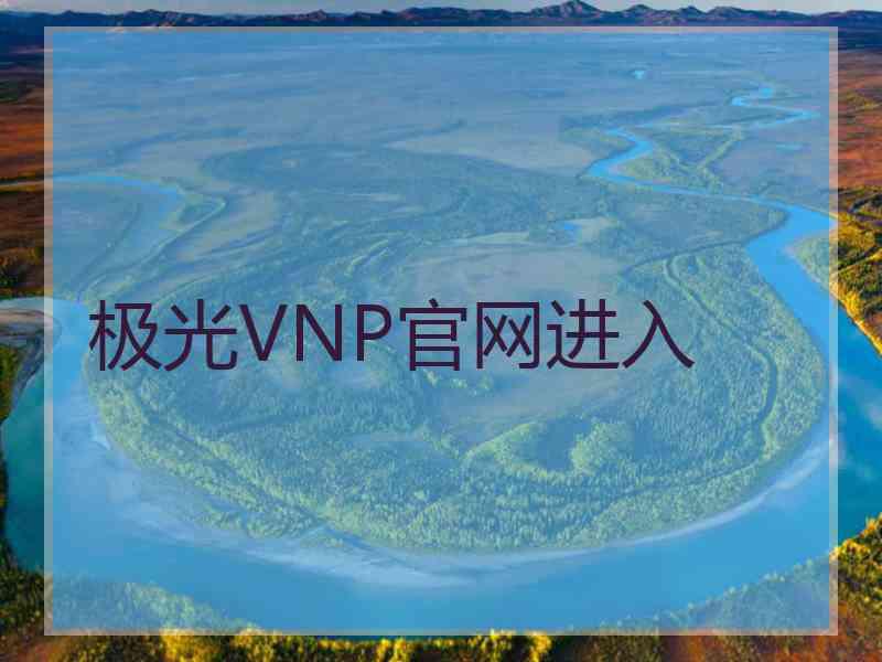 极光VNP官网进入