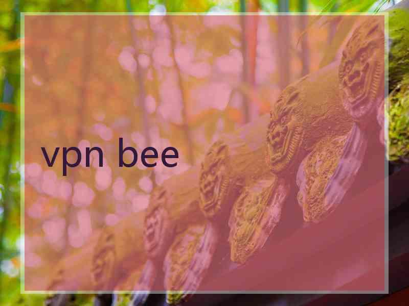 vpn bee