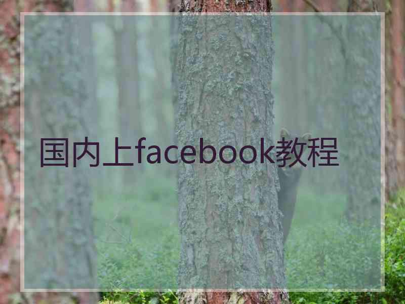 国内上facebook教程