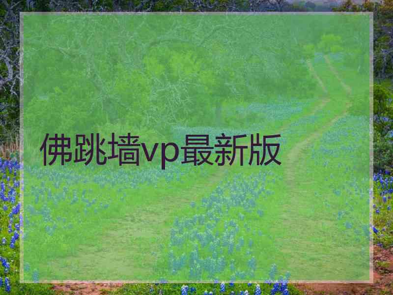 佛跳墙vp最新版