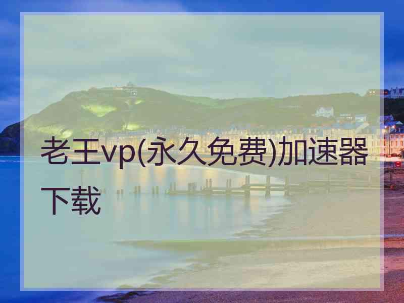 老王vp(永久免费)加速器下载