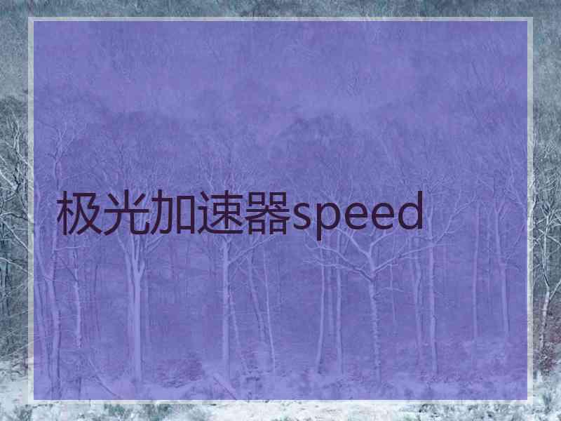 极光加速器speed