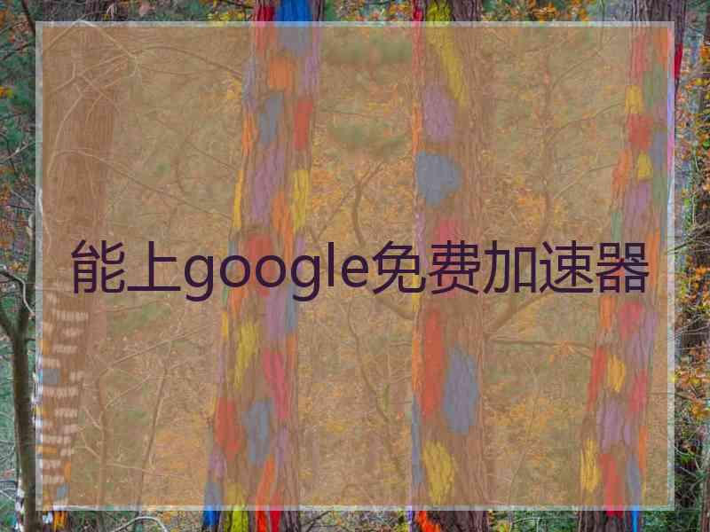 能上google免费加速器