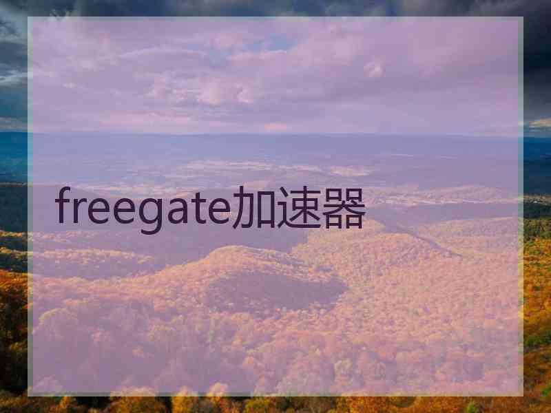 freegate加速器