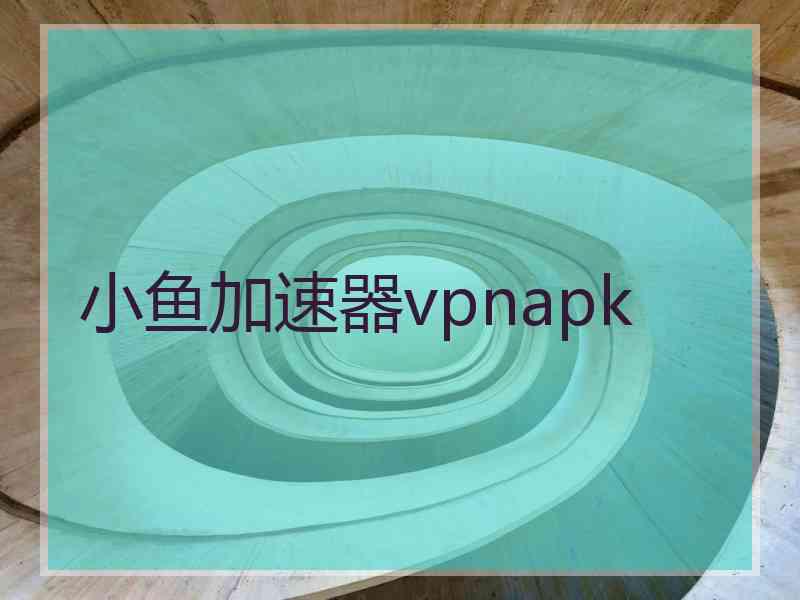 小鱼加速器vpnapk