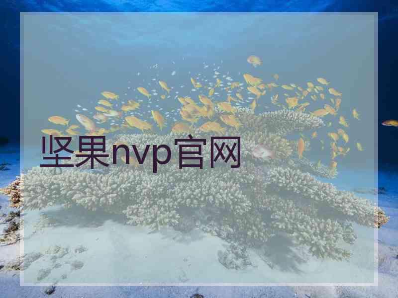 坚果nvp官网