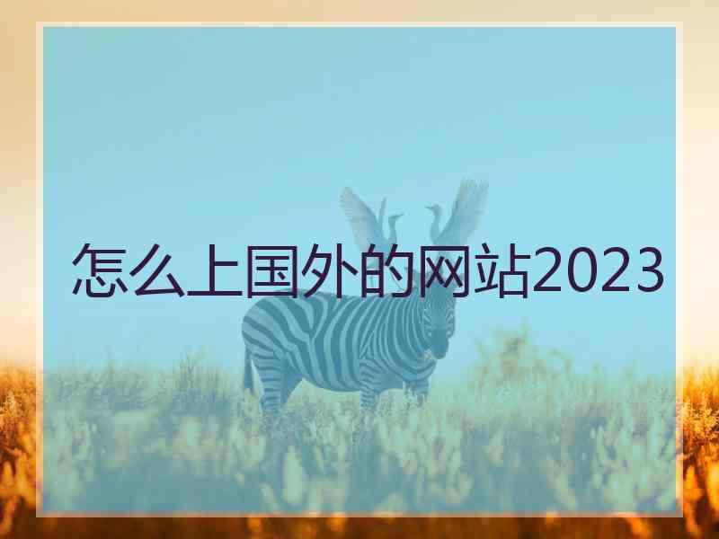 怎么上国外的网站2023