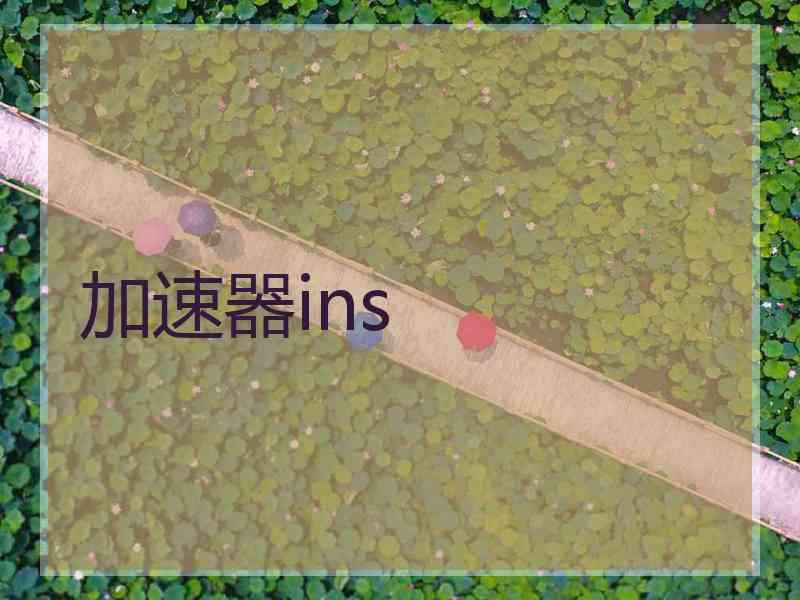 加速器ins