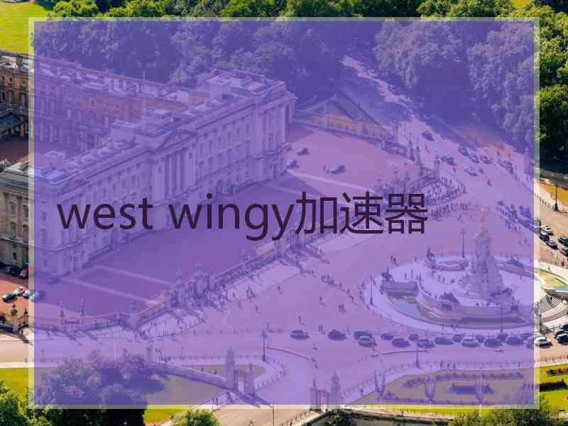 west wingy加速器