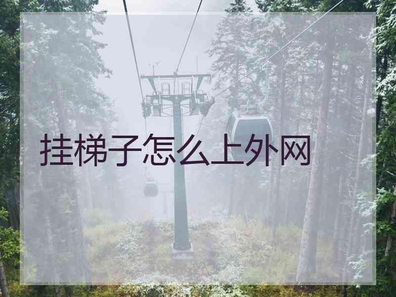 挂梯子怎么上外网