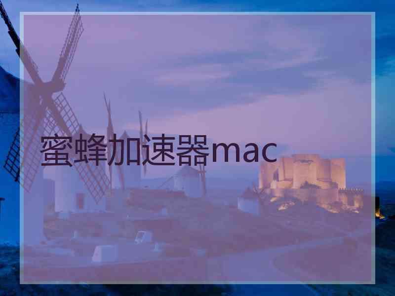 蜜蜂加速器mac