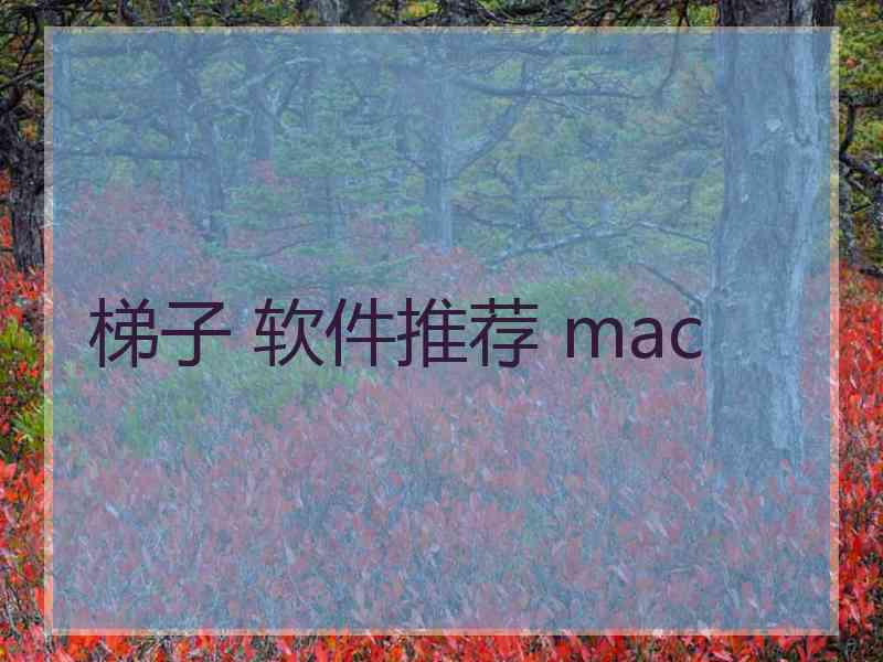 梯子 软件推荐 mac