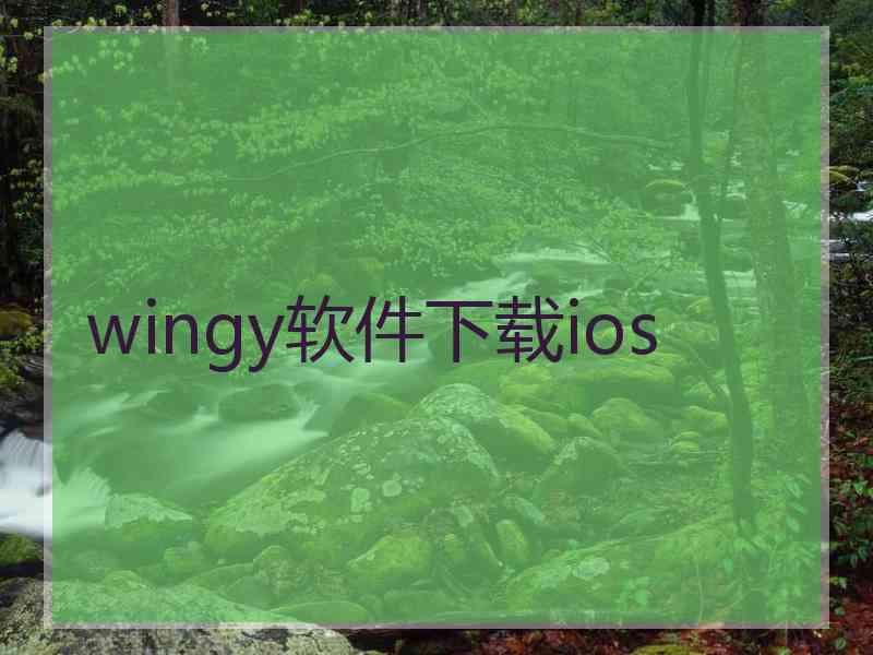 wingy软件下载ios